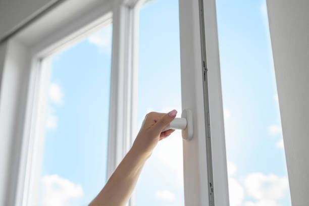 Best Aluminum Windows in Spring Grove, MN